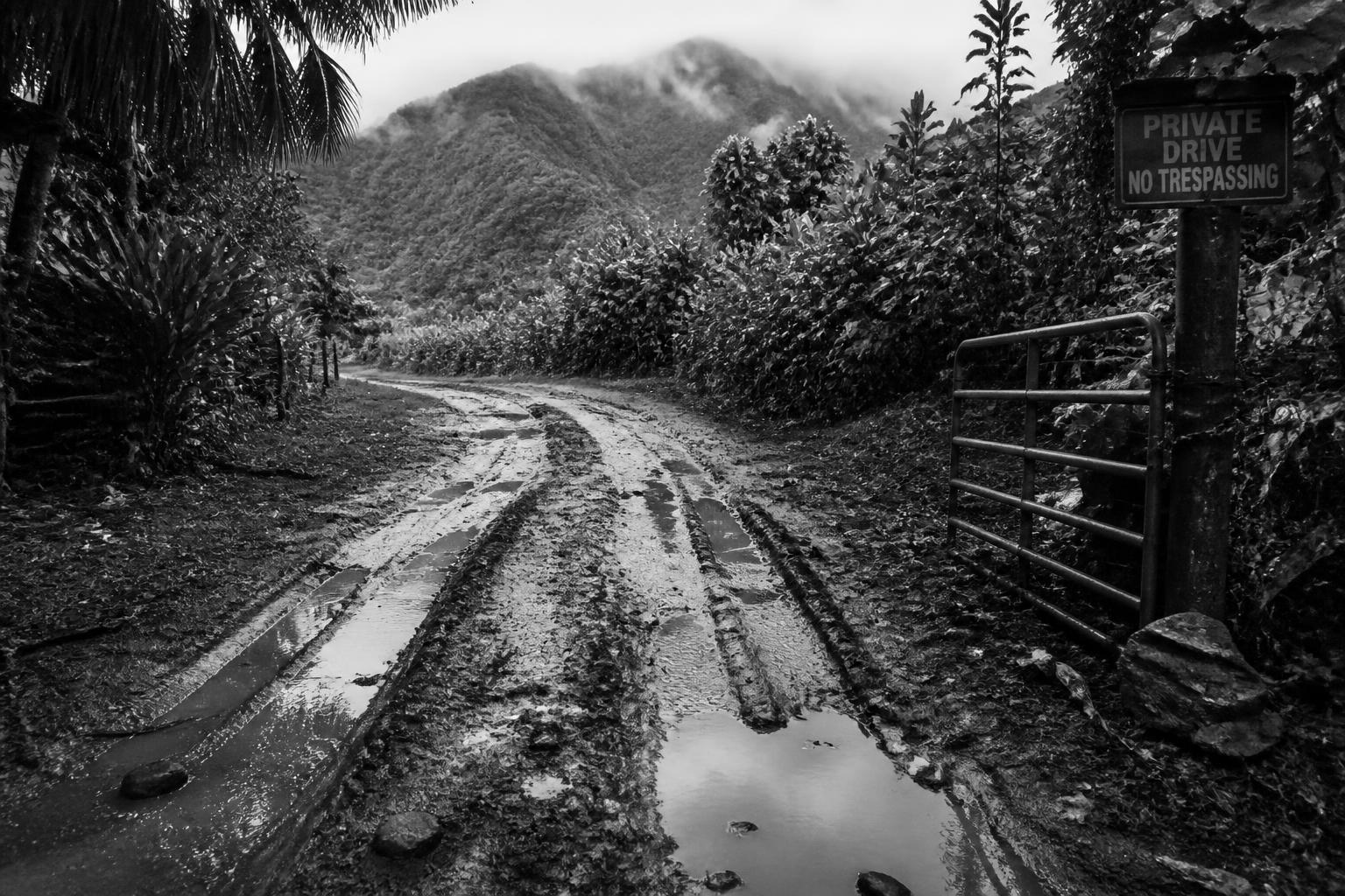 Black and white photo of a muddy Kauaʻi private driveway with deep tire ruts and puddles after heavy tropical rain, jungle mountains in the background
