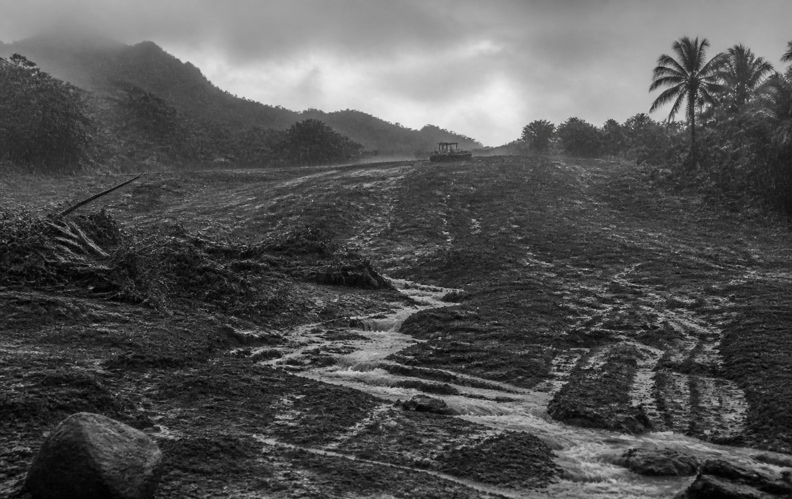 Black and white photo of heavy rain and muddy runoff channels cutting across a freshly cleared Kauaʻi hillside