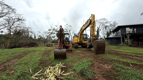 Two excavators positioned in a vegetation-clearing work area beneath an overcast sky