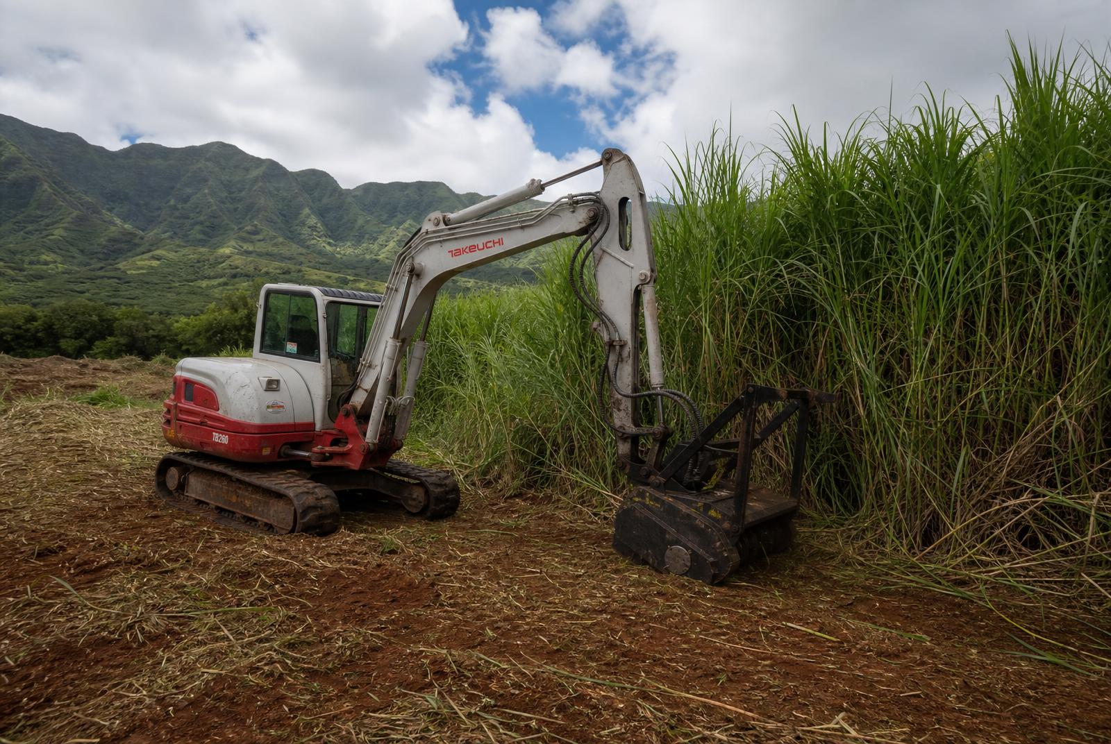 Takeuchi TB260 excavator with mulcher attachment mid-job on a large Kauaʻi parcel, showing before-and-after contrast of uncut guinea grass beside freshly cleared ground